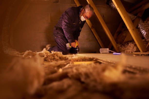 Best Insulation Maintenance and Repair in Mikes, TX